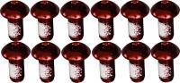 12 Befestigungsschrauben Stahl Ashima Disc AA-RB-ST M5x10 Torx T25 rot