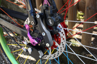 Rohloff Speedbone 8550