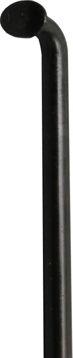 Nippel schwarz k.A. DT Swiss 100x Speichen Champion M 2x256mm Niro o